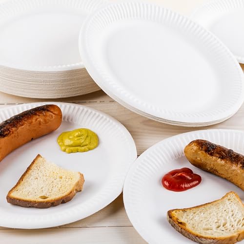 HEKU Pappteller (Ø 23cm, 100 Stück): 100% Kompostierbar | Umweltfreundliche Einwegteller