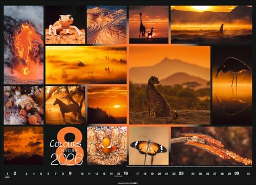 Calendar 'Colours of Nature' 2026: Large photo wall calendar in landscape format (68x49cm)