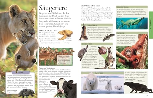 Knowledge for clever kids: Encyclopedia with over 2500 color illustrations for children ages 8 and up