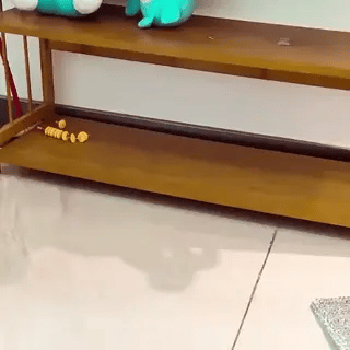 Einziehbarer Spalt-Staubwedel: Teleskop-Flachpinsel mit langem Griff und waschbaren Tüchern (Preview GIF)