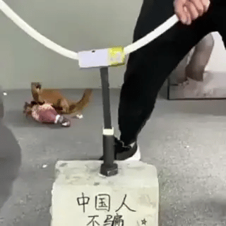 Multifunktionaler Starker Superkleber für Metall, Holz, Kunststoff | Universal Sekundenkleber (Preview GIF)