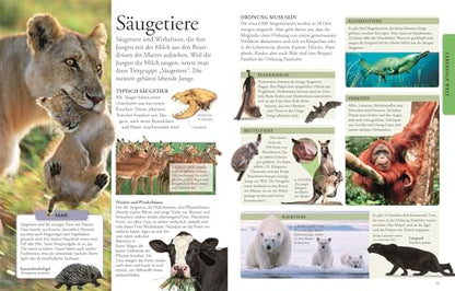Knowledge for clever kids: Encyclopedia with over 2500 color illustrations for children ages 8 and up