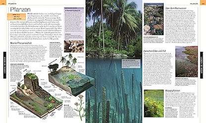 Ozeane: Die große Bild-Enzyklopädie mit mehr als 2000 Fotografien und Illustrationen