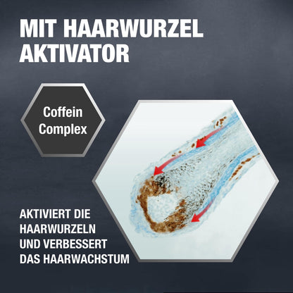 Alpecin Coffein-Shampoo C1 (2x600ml) gegen erblich bedingten Haarausfall