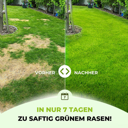 TerraUno lawn fertilizer for spring/summer: immediate effect - 20kg for 1000m²
