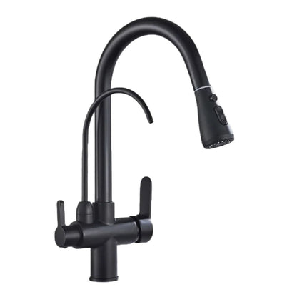 Dual-Wasserhahn mit Filteranschlussoption | 360° drehbar, herausziehbarer 3-Weg Sprüher (Schwarz)
