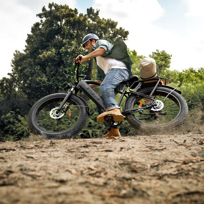 ENGWE E26 All-Terrain E-Bike: 250W, 48V, 16Ah Akku, LCD, Federgabel & 7-Gang-Schaltung