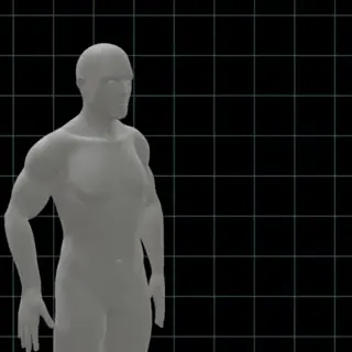 Rückenstützgürtel: Lendenwirbelstütze bei Rückenschmerzen, Ischias, Bandscheibenvorfall & Skoliose | Leicht mit Soft-Pad (Preview GIF)